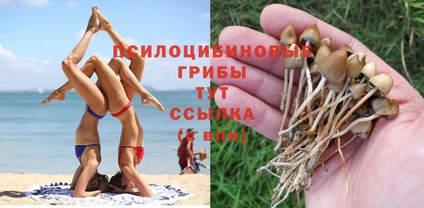 дмт Алексин
