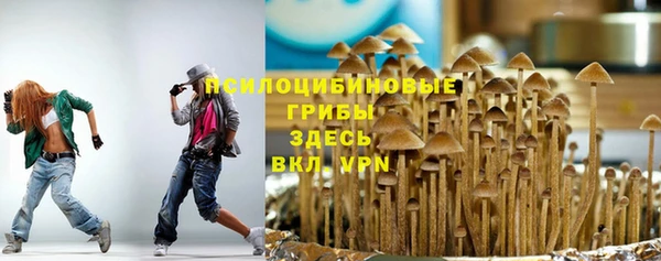 дмт Алексин