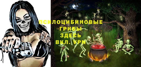 дмт Алексин