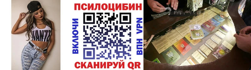 Псилоцибиновые грибы Psilocybine cubensis Новодвинск